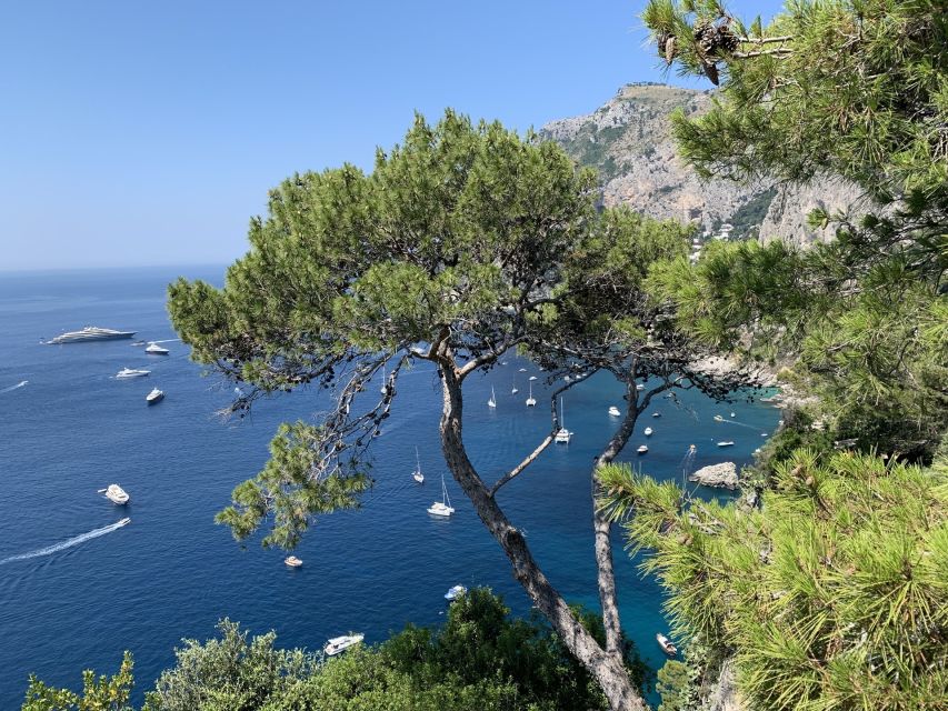 From Sorrento: Day Trip to Capri & Anacapri with Blue Grotto - Starting at Sorrento Port before the crowds