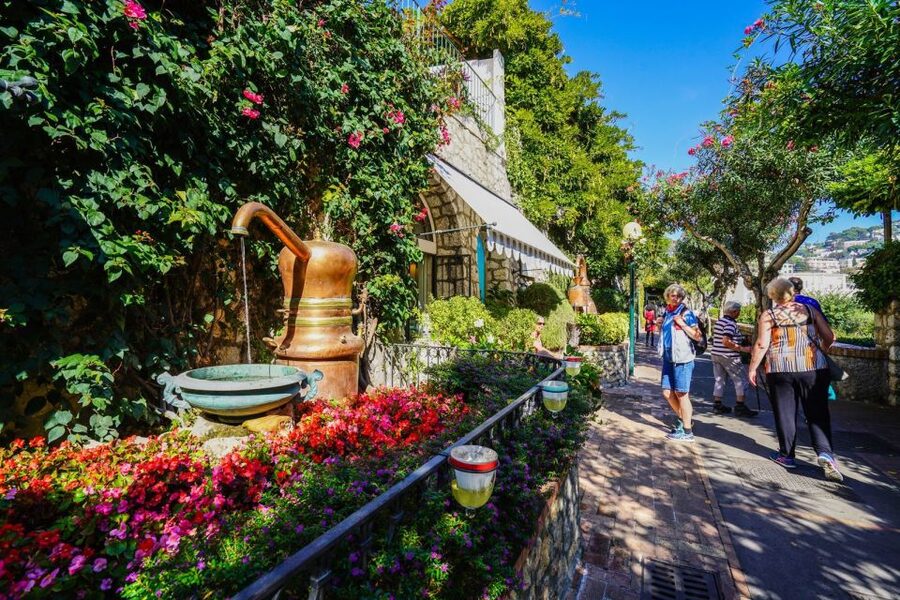 From Sorrento: Day Trip to Capri & Anacapri with Blue Grotto - Augustus Gardens, lunch, and your own two hours
