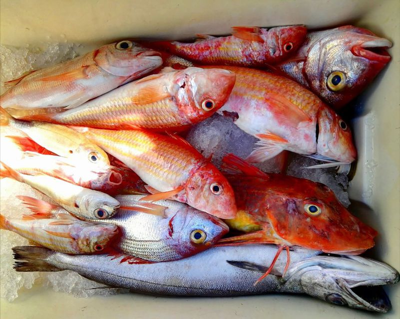 From Sorrento: Fishing in Capri with Lunch - Lunch on board with the catch of the day