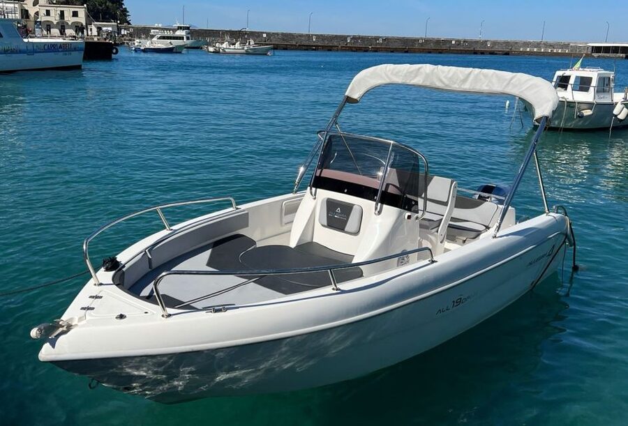 From Sorrento: Full Day Capri Private Boat Trip with Drinks - Cruising from Sorrento toward Capri
