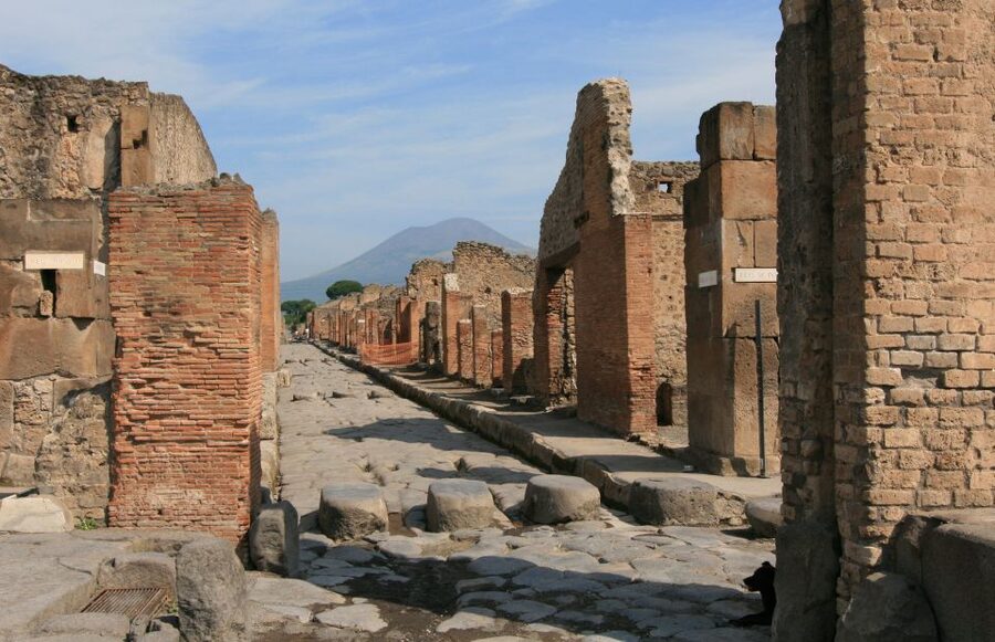From Sorrento: Herculaneum and Pompeii Group Excursion - Lunch between the ruins