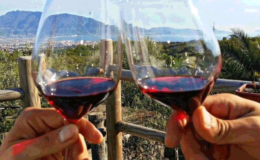 From Sorrento: Herculaneum & Pompeii Day Trip with Lunch - Lunch at a vineyard on Vesuvius