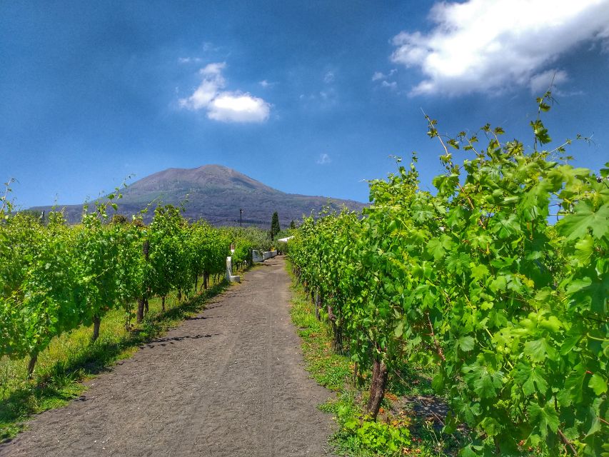 From Sorrento: Mount Vesuvius Tour with Lunch & Wine Tasting - The climb through Vesuvius ash and lava