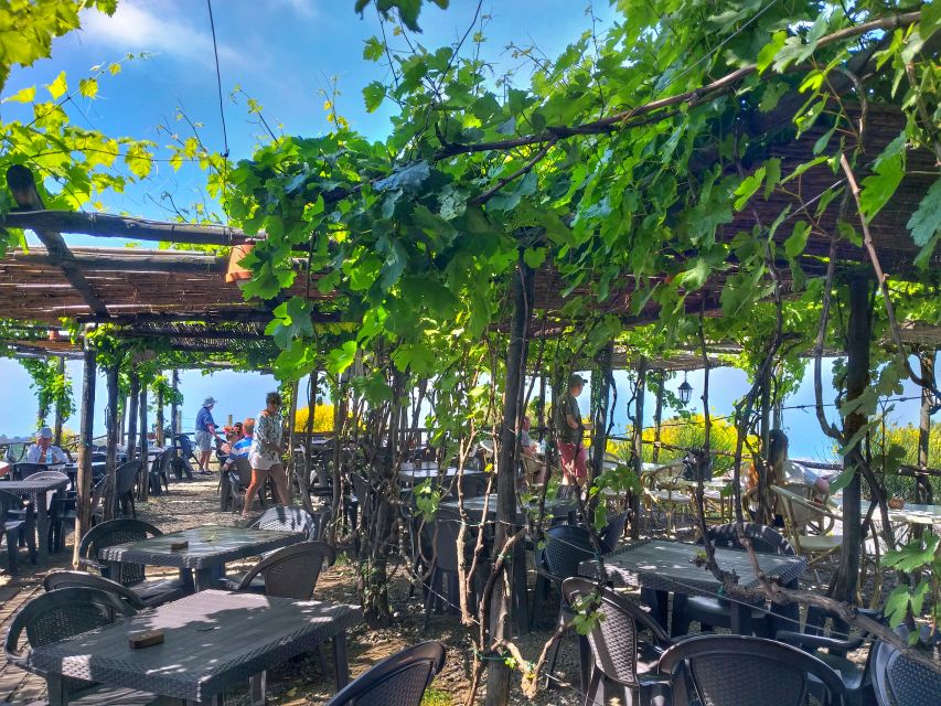 From Sorrento: Mount Vesuvius Tour with Lunch & Wine Tasting - Who should book this Vesuvius tour
