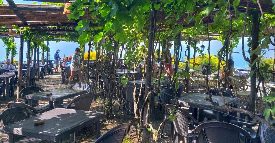 From Sorrento: Mount Vesuvius Tour with Lunch & Wine Tasting - Meeting in Sorrento at 9 AM