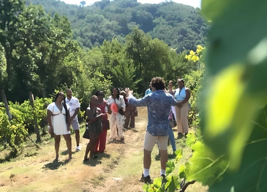 From Sorrento & Naples: Cortecorbo Wine & Cooking Experience - The people make the day feel personal