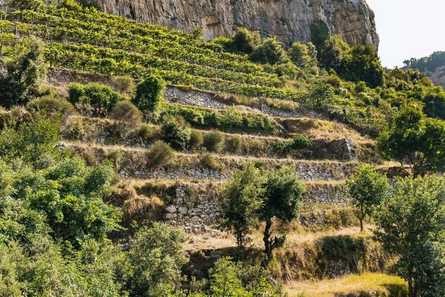 From Sorrento: Path of the Gods Guided Hike with Transfers - What the guides add to the walk