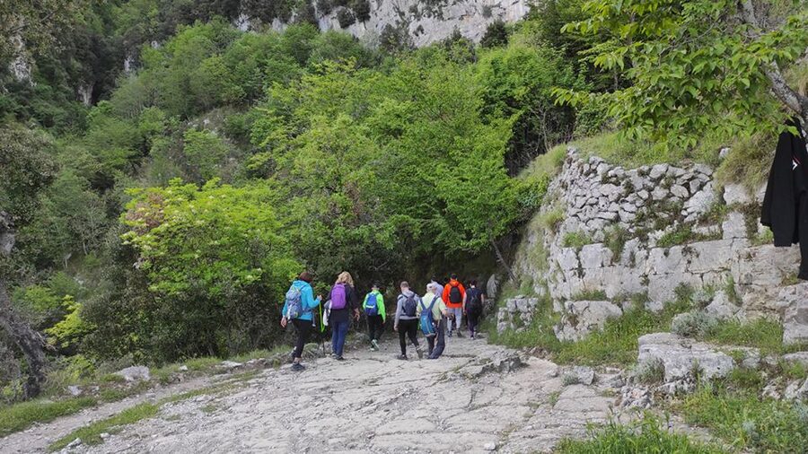 From Sorrento: Path of the Gods Hike with Tasting Stop - Guides, pacing, and the English-language experience