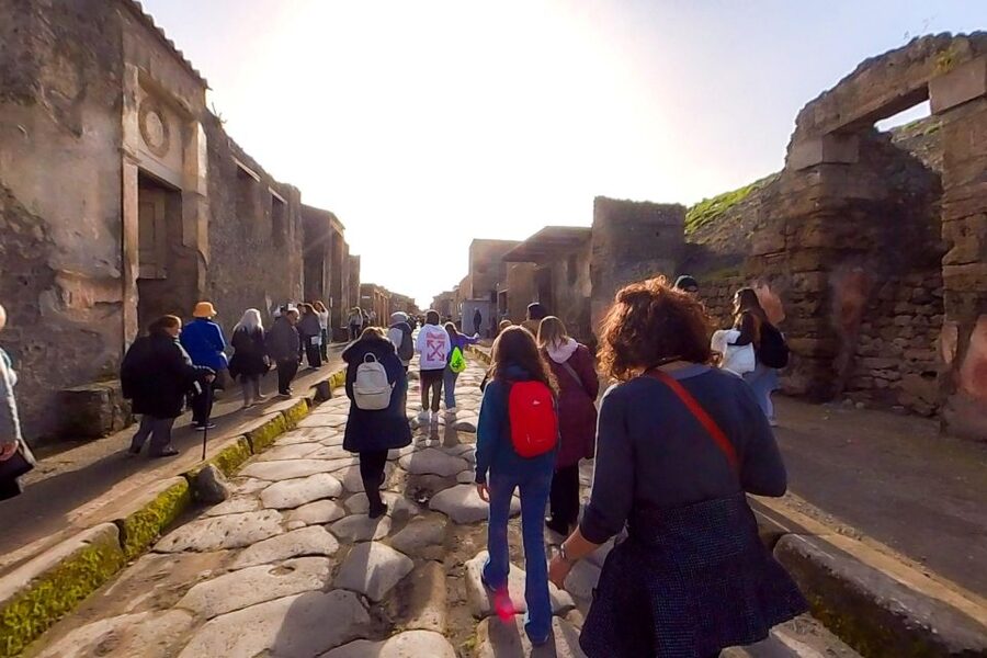 From Sorrento: Pompeii and Vesuvius Guided Tour with Lunch - Should you book this Pompeii and Vesuvius tour?