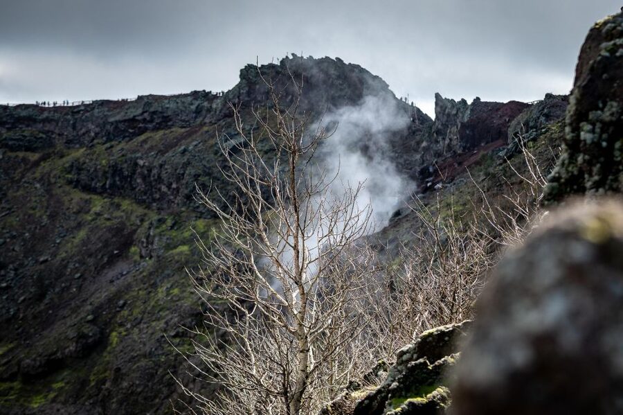 From Sorrento: Pompeii and Vesuvius Guided Tour with Lunch - What the two-hour Pompeii visit can and cannot do