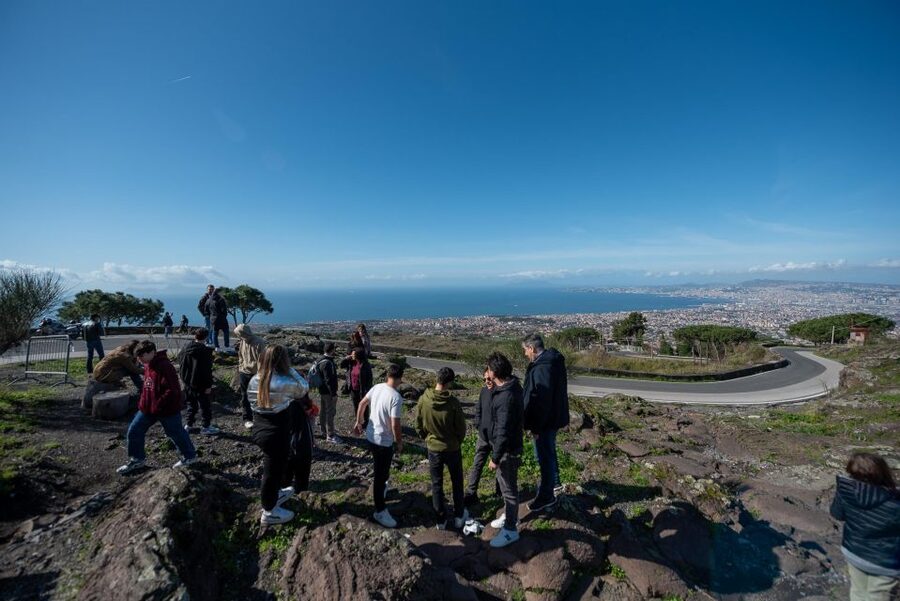 From Sorrento: Pompeii and Vesuvius Guided Tour with Lunch - Who should book this experience?