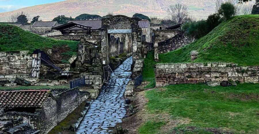 From Sorrento: Pompeii and Vesuvius Skip-the-Line Tour - Two famous Campania sights in one morning