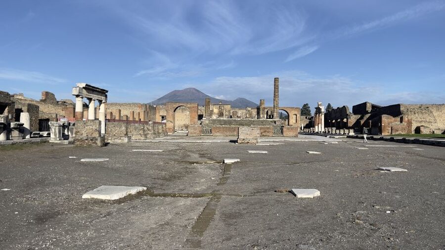 From Sorrento: Pompeii and Vesuvius Skip-the-Line Tour - Who will get the most from this tour