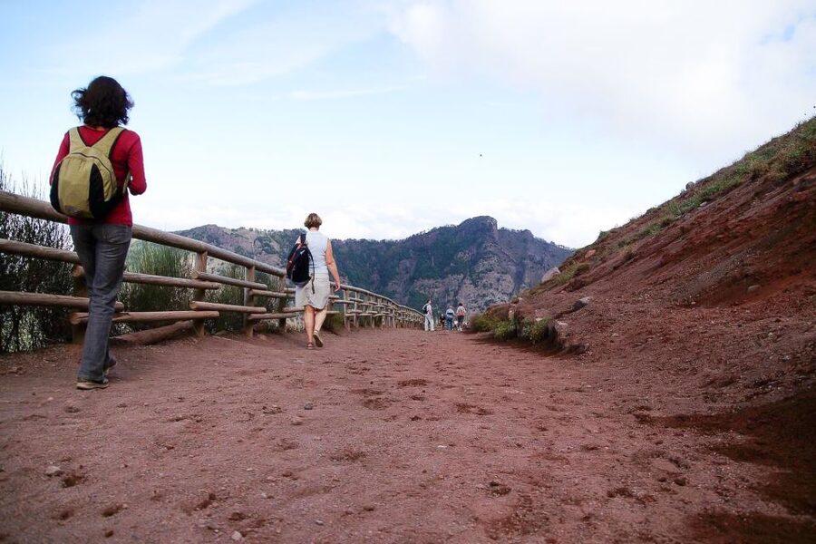 From Sorrento: Pompeii and Vesuvius Tour - Who should book this day trip?