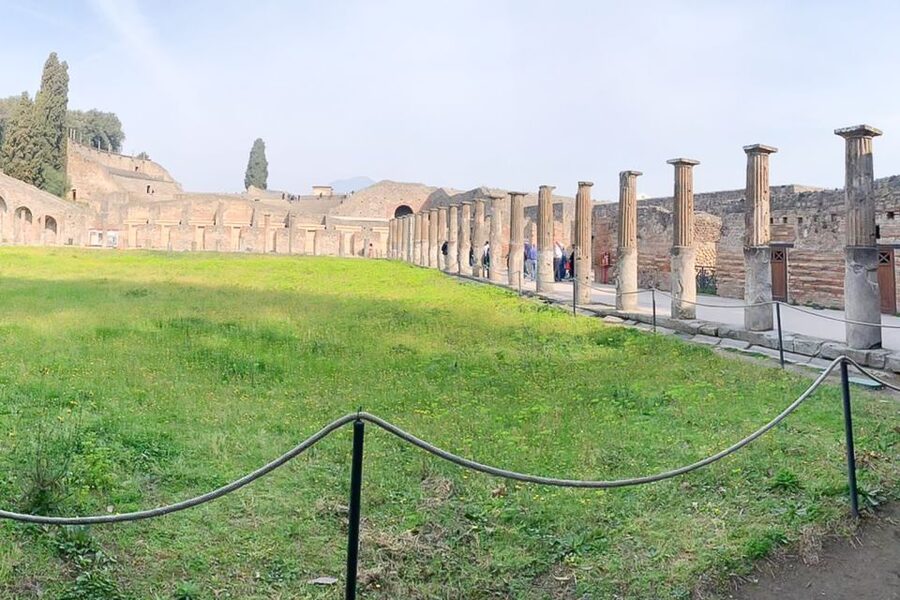 From Sorrento: Pompeii and Vesuvius Tour - Hiking from 1,000 meters to the crater rim