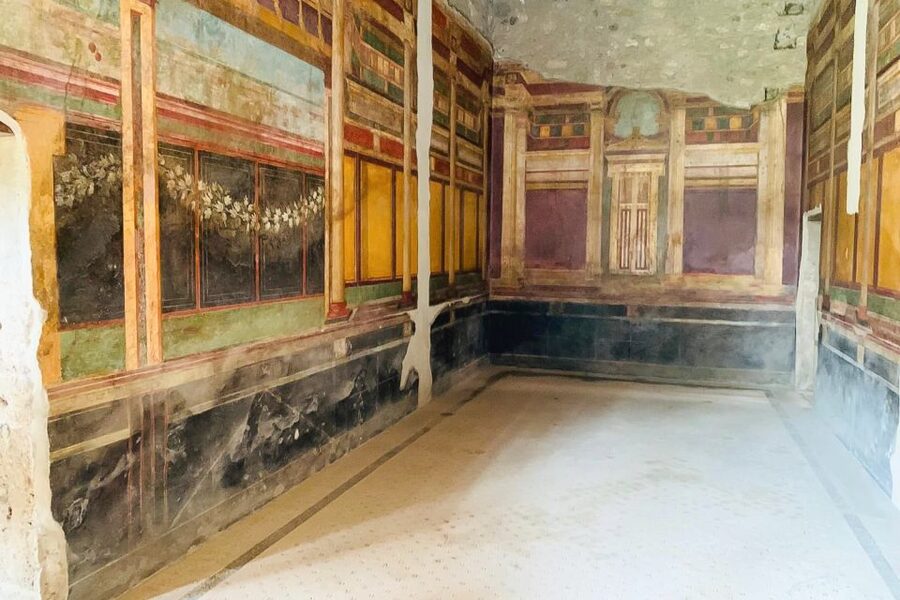 From Sorrento: Pompeii and Vesuvius Tour - The guide can make or break Pompeii