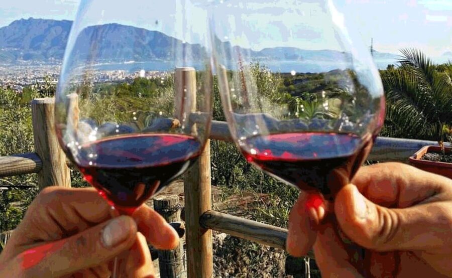 From Sorrento: Pompeii & Mt. Vesuvius Tour with Lunch & Wine - Lunch and wine on the slopes of Vesuvius