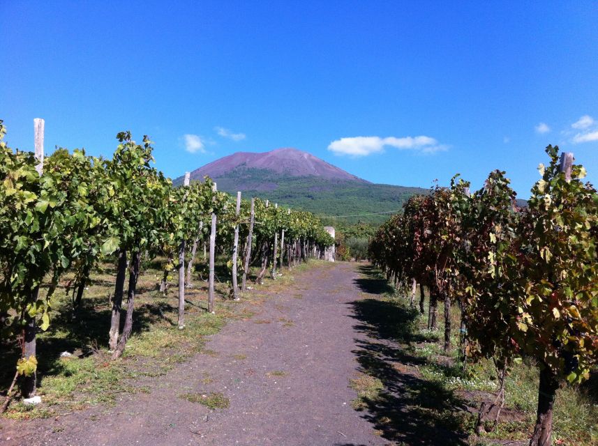 From Sorrento: Skip-the-Line Guided Vesuvius Hike and Lunch - Walking to the crater at 1,000 meters