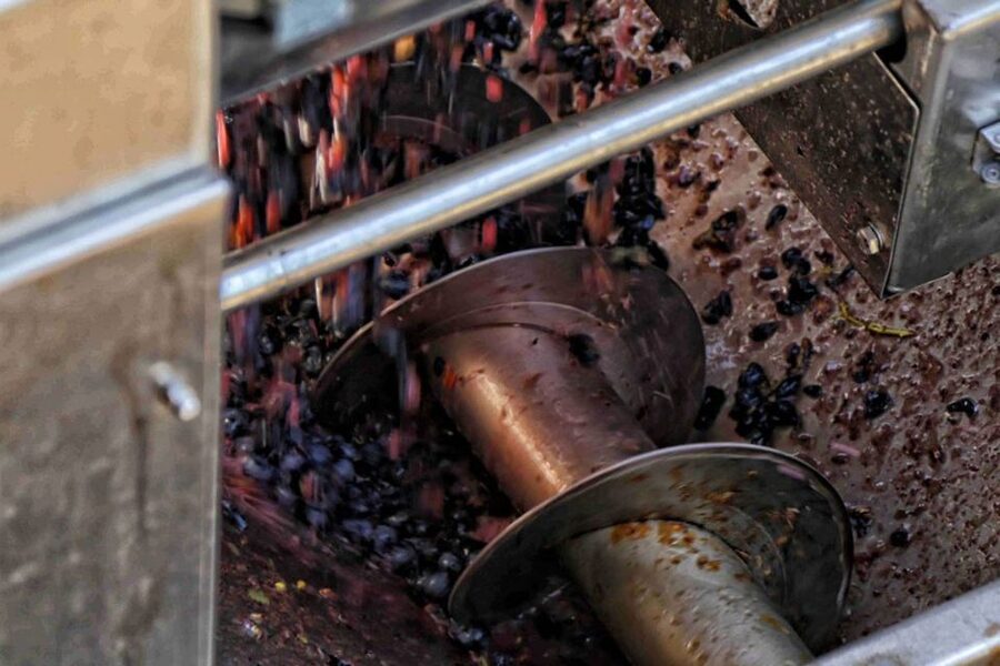 From Sorrento: Winery Tour, Tasting & Lunch - A Mount Vesuvius Winery Lunch, Not Just a Wine Flight