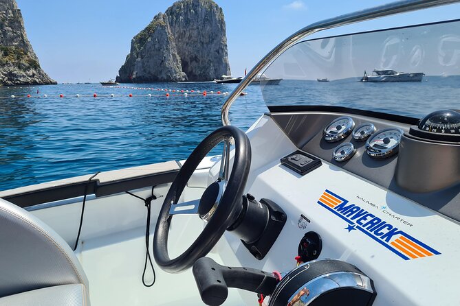 Full-Day Boat Rental in Sorrento - Who should book this boat day
