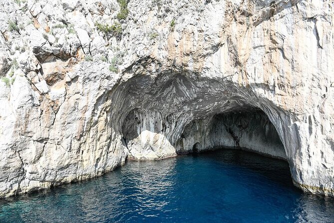 Full-Day Guided Boat Tour to Capri from Sorrento with Limoncello - The Gardens of Augustus are the day’s visual prize