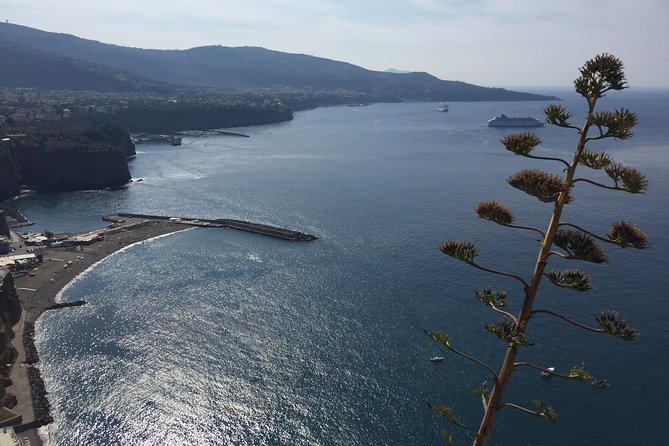 Full Day Private Sorrento & Amalfi Coast Tour from Positano - Amalfi and the Cathedral of Sant’Andrea