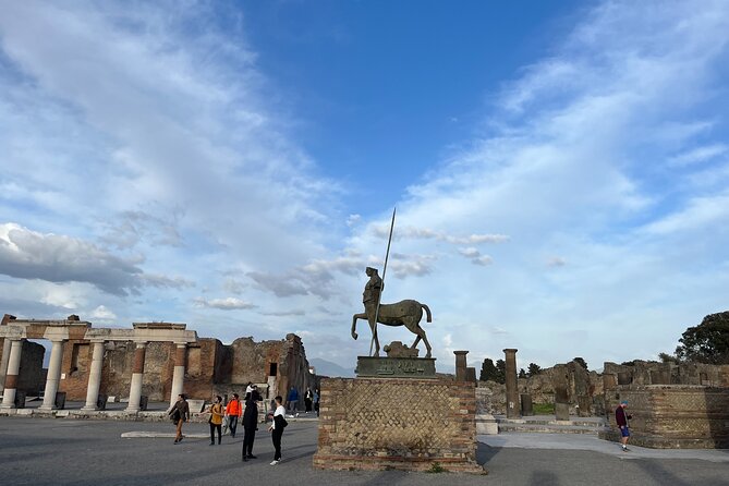 Full Day Private Tour of Pompeii and the Amalfi Coast - The vineyard lunch near Vesuvius