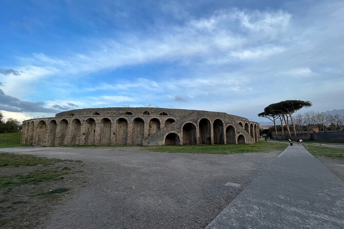 Full Day Private Tour to Pompeii, Herculaneum and Oplontis - Pompeii in two hours