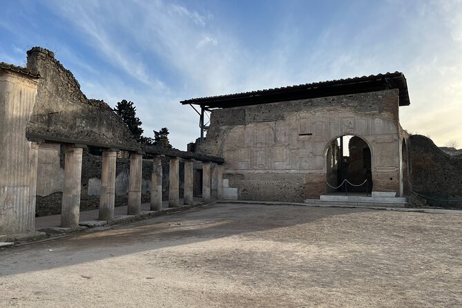 Full Day Private Tour to Pompeii, Herculaneum and Oplontis - What the driver does, and does not do