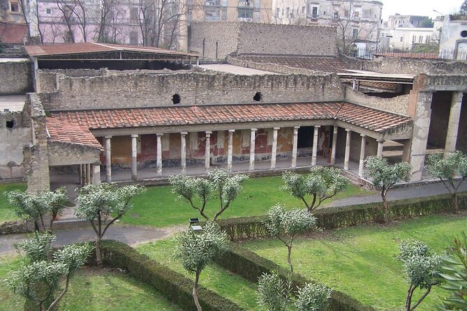 Full Day Private Tour to Pompeii, Herculaneum and Oplontis - Who should book this private route