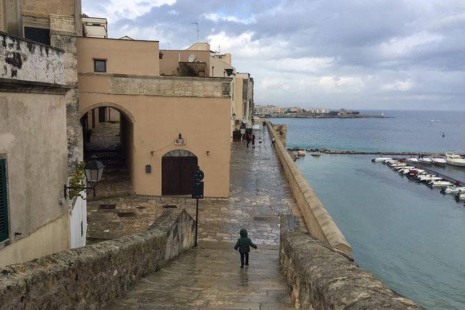 Full-Day Sorrento Positano Pompeii Tour - Who will get the most from this tour