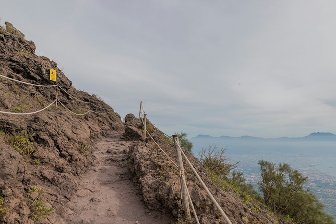 Full Day Tour to Pompeii, Vesuvius and Wine Tasting - What the $307.39 price really includes