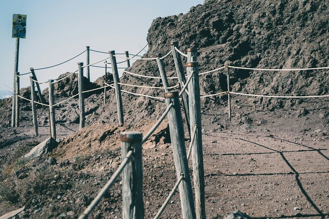 Full Day Tour to Pompeii, Vesuvius and Wine Tasting - Is a guide worth adding?