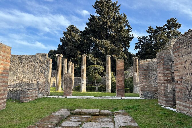 Full Day Tour to Pompeii, Vesuvius and Wine Tasting - Who should book this tour?