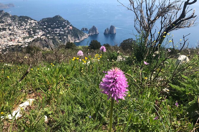 Gastronomic Hike on the Path of the Gods with Food Tasting - The Final Picnic and Homemade Dessert