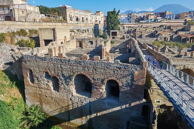 Guided Day Tour of Pompeii and Herculaneum with Light Lunch - Lunch with wine between the ruins