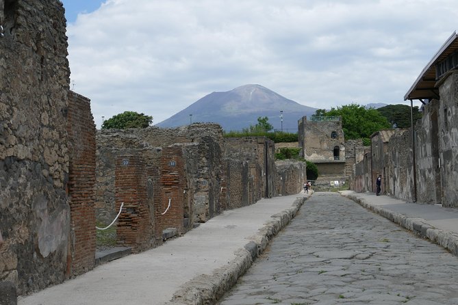 Guided Day Tour of Pompeii and Herculaneum with Light Lunch - Transport problems and return timing