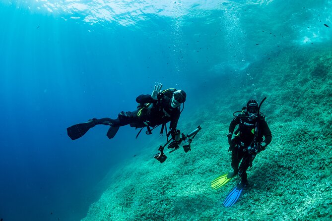 Guided diving for beginners without certification from Sorrento - Is $296.46 a fair price?