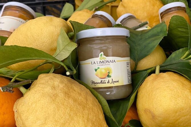 Guided tour of a historic lemon grove in Sorrento - Is $48.27 a fair price?