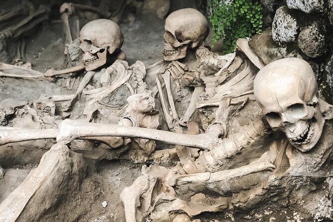 Guided Tour of Herculaneum with Lunch and Ticket Included - A winery lunch on the slopes of Vesuvius