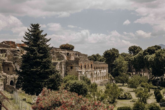 Guided Tour of Pompei, Lunch and Wine from Sorrento - From ancient streets to Vesuvius vineyards