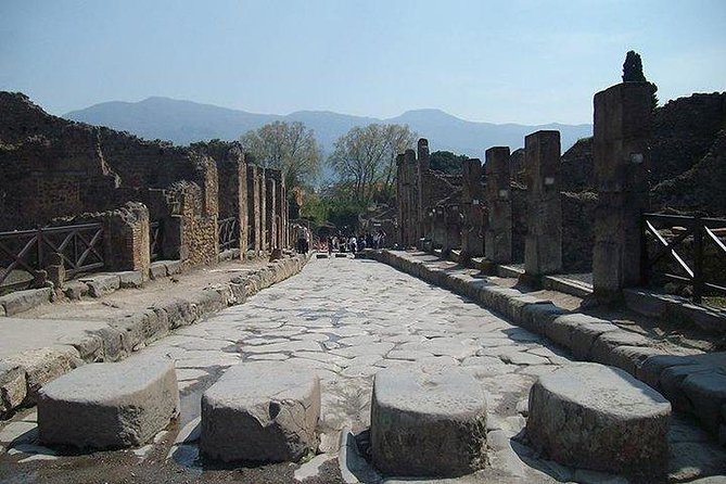 Guided Tour of Pompeii and Herculaneum with Lunch and Ticket - Sorrentino Winery provides a needed pause