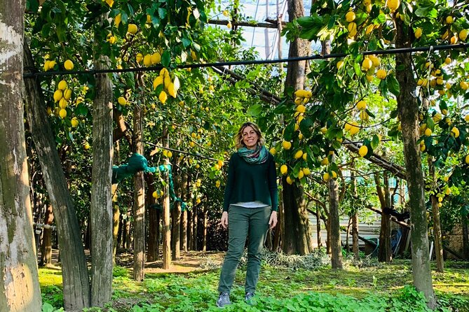 Guided tour of the history and tradition of the Sorrento lemon - Key points to know before booking