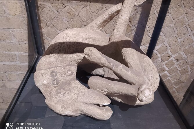 Guided Tours of Pompeii Excavations Historical and Cultural Itineraries - Venus and Apollo: religion in Pompeii’s open spaces