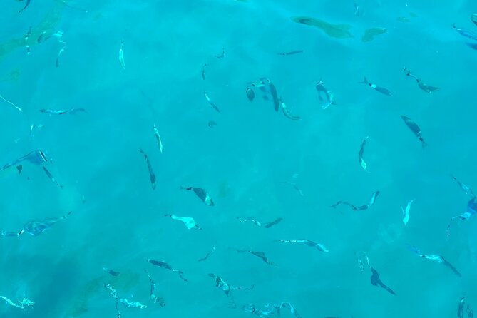 Half-Day Amalfi Coast Boat & Snorkeling Small Group Tour - Conca dei Marini and the old watchtowers
