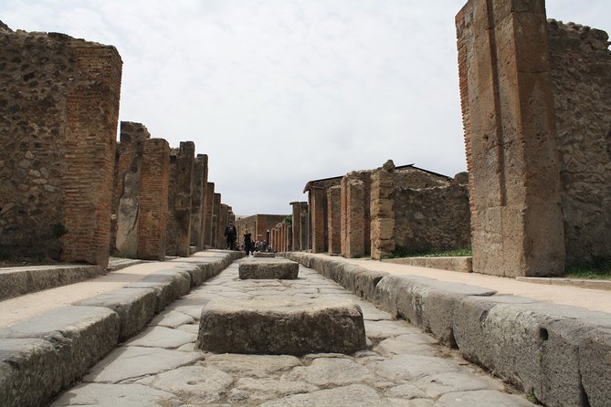 Half-Day Exclusive Private Tour of Pompeii and Herculaneum - The transfer to Herculaneum saves valuable time