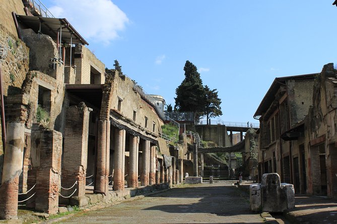 Half Day Herculaneum from Sorrento - What the guide adds to the ruins