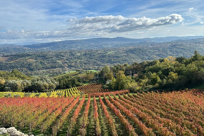 Half-Day Irpinia Wine Tour from SALERNO - What the $229.25 price includes