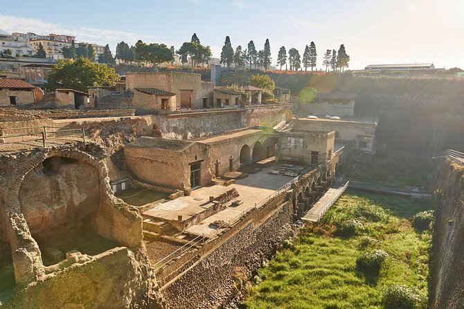 Half Day Morning Tour of Herculaneum from Sorrento - Should you book the Herculaneum morning tour?