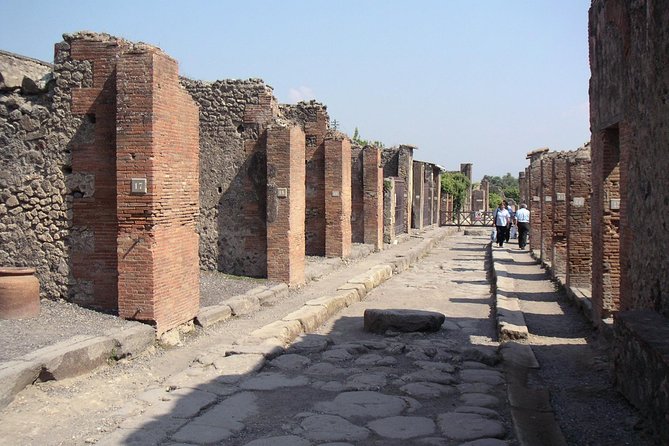 Half Day Morning Tour of Pompeii from Sorrento - Walking Pompeii with a guide